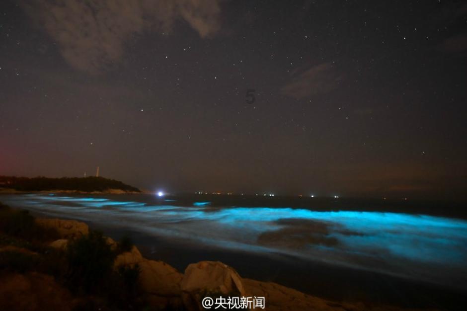 厦门“小白鹭”在新区研学